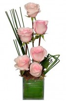 Ikebana  de Rosas Rosas